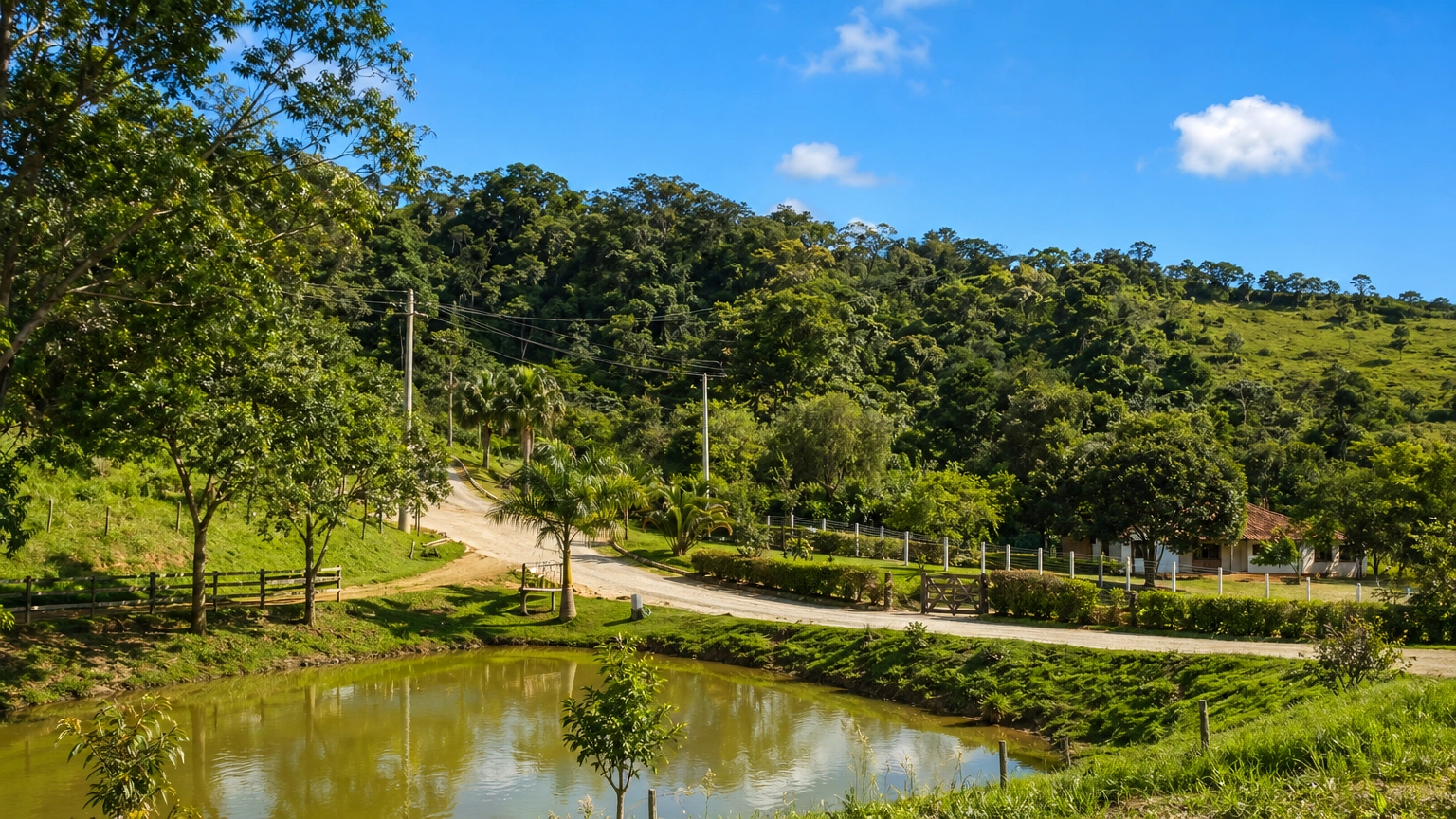 Contato com a natureza