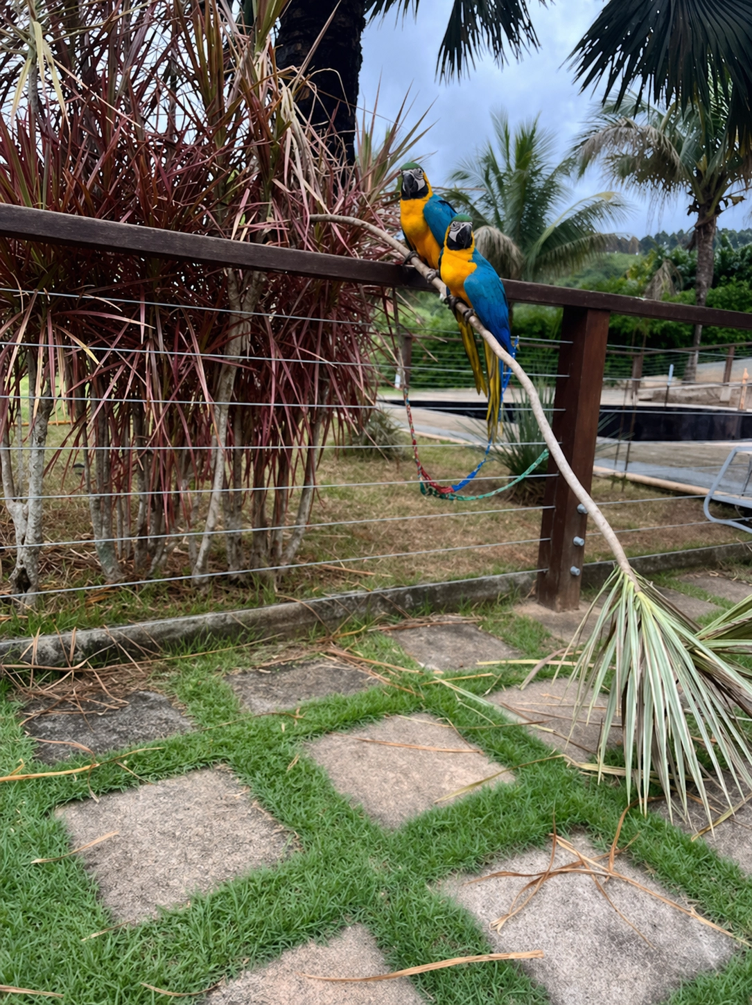 Contato com a natureza