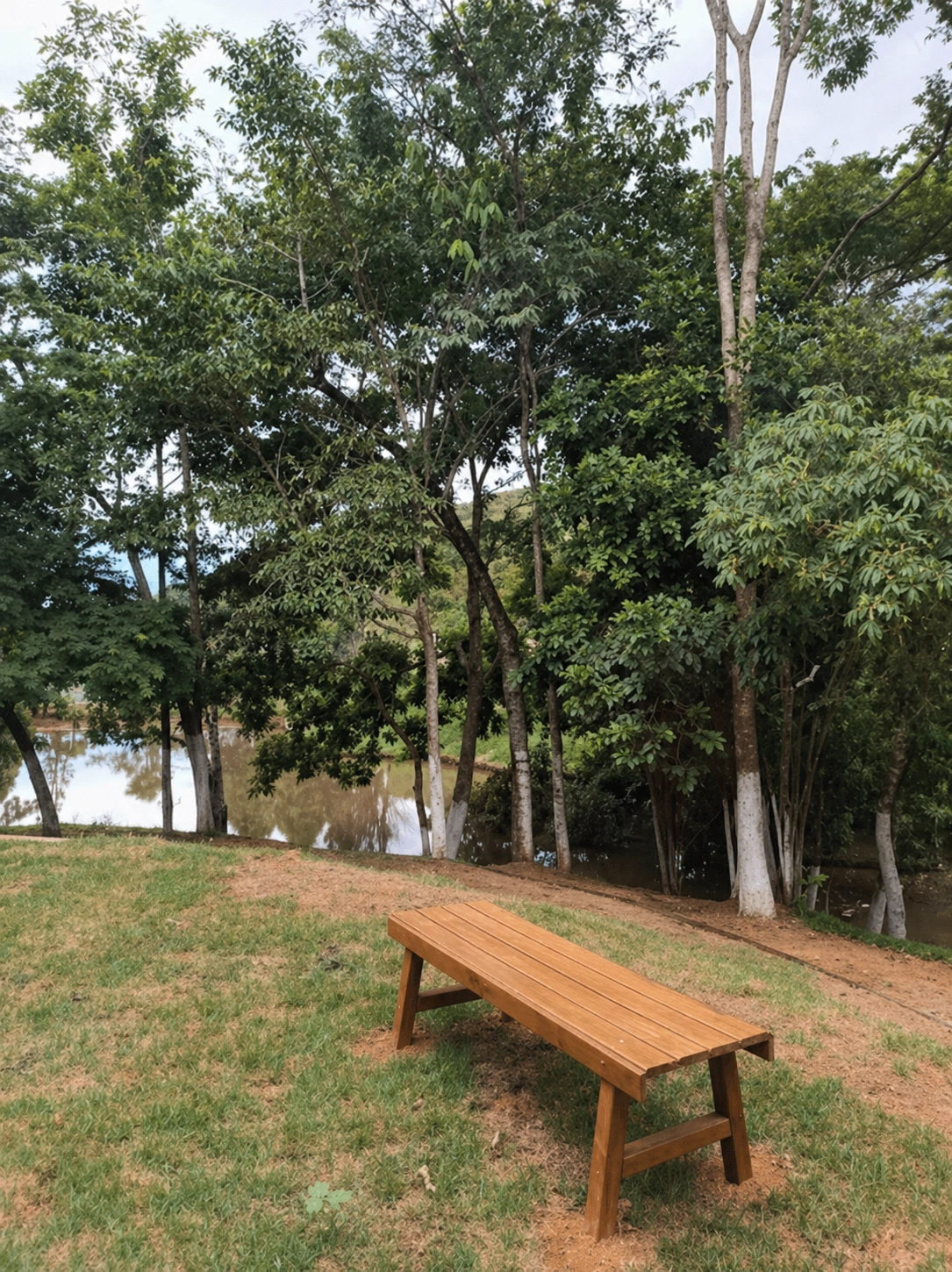 Contato com a natureza